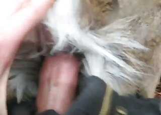 Great-looking animal porn with my hot sibling