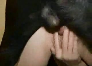 Horny young doggy is fucking so freaking fast