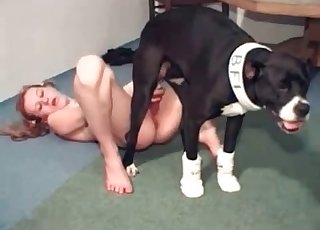 Incredible hound is totally drilling this wet pussy for fun