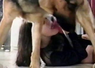 Sucking My Dogs Cock