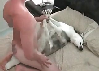 Hot Babe Tight Twat Doggy Drilling Action
