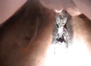 Awesome bestiality sex action and fingering