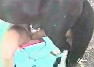 A really tight hole gets totally destroyed by a horse