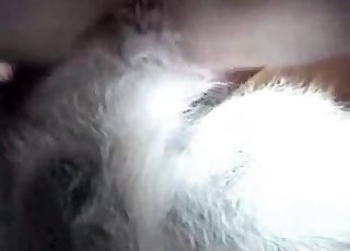 Great amateur bestiality with my lovely trained animal