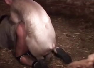 Sexy big pig fucks a slender young hottie - Zoo Zoo Sex Porn Tube