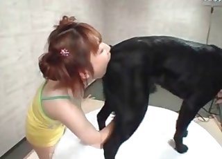 Redheaded Asian wants to taste the asshole of a lovely dog