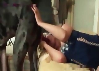 Sweet and awesome amateur bestiality in HD quality - 動物園セックスポルノチューブ。 