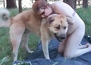 Nice mutt is showing a world class action