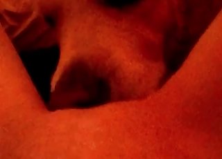 Voluptuous and wet cunnilingus by a sexy doggy