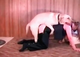 Impressive oral job sex with a good-looking rear end