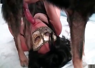 Meaty red dick of a dog is her love