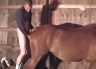 Butt banging action with a horny stallion