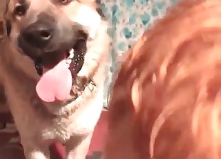 Crazy zoo slut and taught doggy