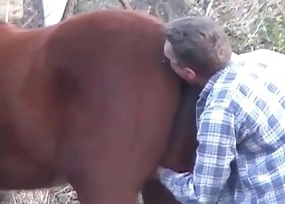 Hors adores asshole fingering