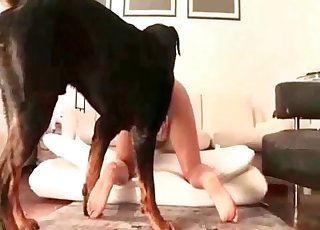 Tight cunt is getting penetrated by a rear end