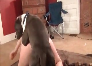 Filthy zoophile and horny as hell doggy