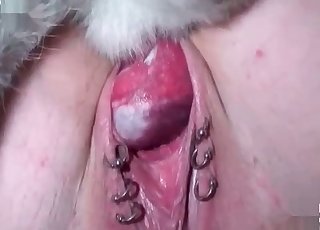 Rear end cock and horny zoophile