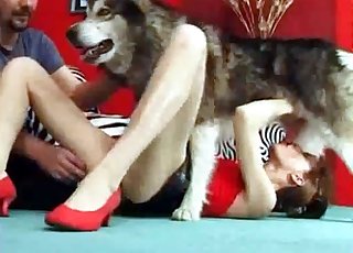 Northern dog gives a perfect dt