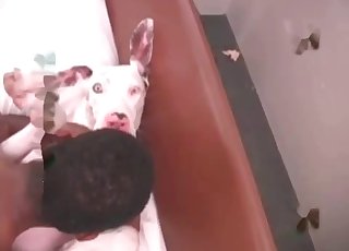 Crazy zoophilia sex with a retriever