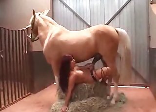 Impressive bestiality action in the barn