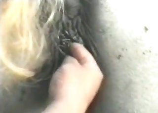 White stallion hot fucking