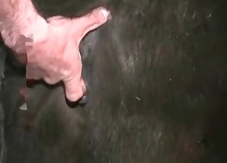 Kinky, molten farm sex extravaganza.