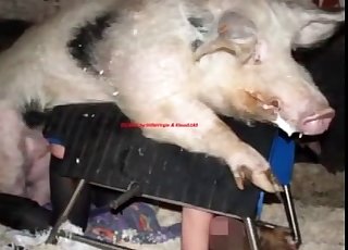 Hot collection with dirty beast fucky-fucky