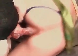 Ginormous dog fucking on web cam