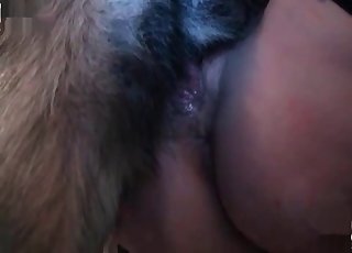 Hot dog licking busty girl’s snatch