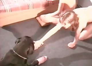 Girl gets fucked by a stellar boxer