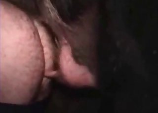 Close-up shots of animalistic hookup