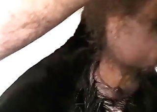 Dog has rough anal pounding