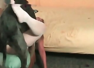 Tyke cleaning cunny juicses