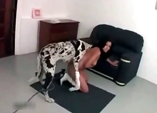 Cur railing a zoophile slut