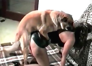 الكلب يغوص بعمق مع الماسكة في مشاهد مثيرة مليئة بالحيوية