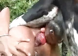 Sexual horse using her owner