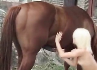 Willy’s dinky gets pleasured