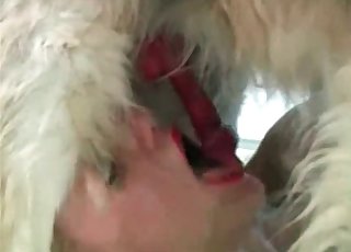 狗深情钻入主人，汗湿肌肤泛着光泽，鼻尖湿润，动作激烈，充满动物般的原始激情与爱欲