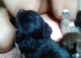 Puppies are deep-throating my nipples