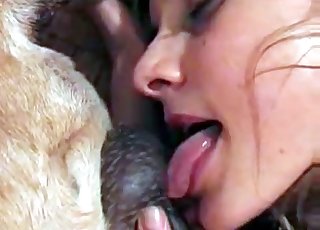 Animal fuck-a-thon is my dirty passion - 動物園セックスポルノチューブ。 