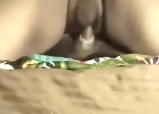 ضرب وحشي مكثف، رطوبة وحرارة، غمغمة عميقة، جسدان يلتقيان بشغف حيواني لا يهدأ