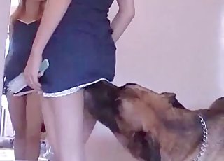 This dog is a flawless lover