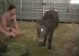 Small pony torn up in the ass