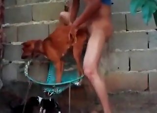 Pequeño