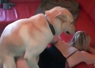Blonde licked by her doggy