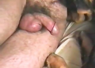 Let me just fuck this mutt