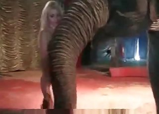 Video porno com elefante