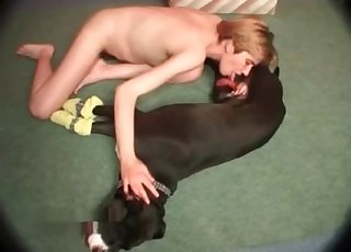 Laying mutt is being sucked hot