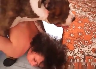 Trained dog knows how to screw