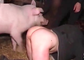 Fucks woman pig Big pig